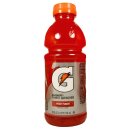 Gatorade Fruit Punch