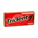 Trident Cinnamon